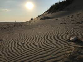 Dune balayée par le Vent : Tita’s Pictures, Plage du Veillon, Talmont-Saint-Hilaire, Dune, Sable