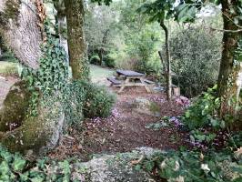 Petit Jardin dans les bois : Maison dans les bois, Jardin, St Laurent sur Sèvre