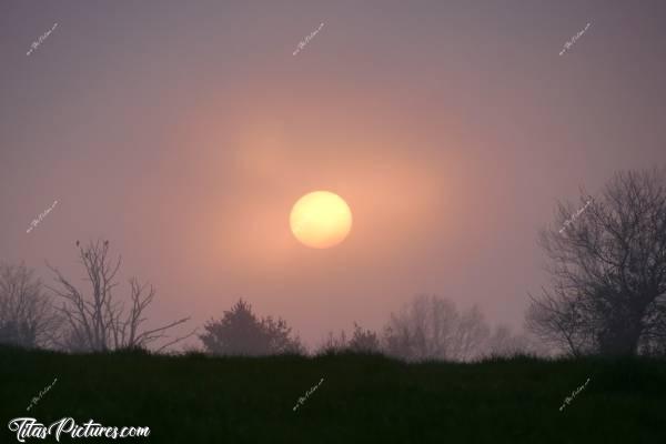 Photo Brouillard givrant 🥶 : Non, ce n’est pas un Lever de soleil 🤭😅 C’est un coucher de soleil, avec un brouillard givrant. Ça donne au ciel, une jolie teinte vraiment pas courante 😍🥰c, Tita’s Pictures, Coucher de soleil, brouillard givrant