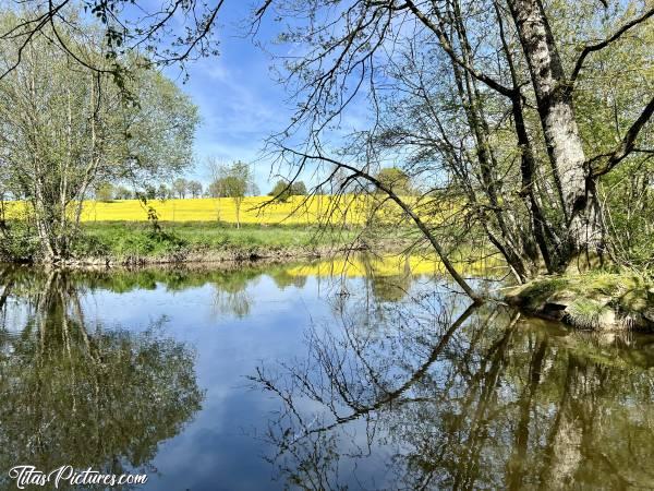 Photo Pescalis : Belle balade ensoleillée, en ce début de Printemps, à Pescalis dans les Deux-Sèvres. Beau champ de colza en fleurs dans le fond 👍🏻😍c, Tita’s Pictures, Pescalis, Moncoutant