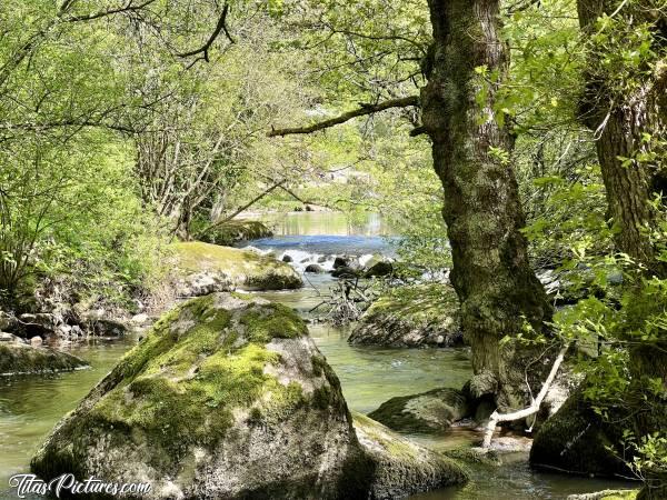 Photo La Sèvre Nantaise : Belle lumière de Printemps sur la Sèvre Nantaise, avant que les feuilles des arbres ne se soient entièrement développées. J’aime beaucoup cette ambiance 😍🥰c, Tita’s Pictures, Sèvre Nantaise, Chute d’eau