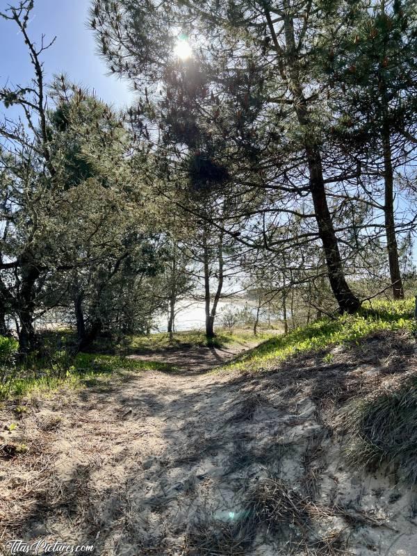 Photo Le Veillon : Découverte d’un chemin de traverse, à l’ombre des arbres. C’est un bon raccourci évitant une belle boucle. Ça grimpe dur, mais ça vaut le coup pour la vue 👍🏻😍🥰c, Tita’s Pictures, Le Veillon, Talmont-Saint-Hilaire