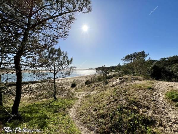 Photo Le Veillon : Belle balade ensoleillée mais fraîche, à la plage du Veillon 😍😎 En face, vue sur la Dune, qui a encore bien diminué 😬😥c, Tita’s Pictures, Le Veillon, Talmont-Saint-Hilaire