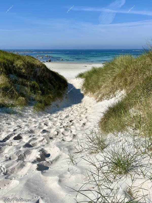 Photo Plage du Lividic : Qu’en dites-vous ? Elle donne pas envie cette belle entrée de plage en sable blanc ? C’est où ? C’est la Plage du Lividic 😍😎c, Tita’s Pictures, Plage du Lividic, Sable blanc, Dune, Mer 