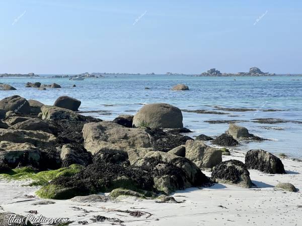 Photo Plage du Lividic : Découverte d’une nouvelle plage dans le Finistère Nord : la Plage du Lividic. Elle est très exposée aux vents, mais très belle pour marcher, en journée comme en soirée 👍🏻😍🥰
À marée basse, il y a plein de rochers qui disparaissent entièrement à marée haute.c, Tita’s Pictures, Plage du Lividic, Rochers, Goëmon