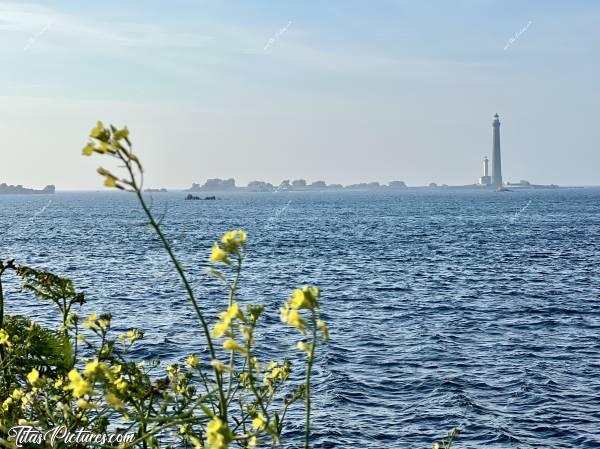 Photo Phare de l’Île Vierge : En face de Plouguerneau, on peut voir le Phare de l’Île Vierge. C’est le phare le plus haut d’Europe et le plus haut du monde en pierre de taille : 82.5 mètres ! 
L’île Vierge s’étend sur près de six hectares et marque la limite orientale entre la Manche et la Mer Celtique. Réputée pour avoir sans doute été un sanctuaire druidique, puis occupée par des moines cordeliers, elle est surtout connue pour son phare. 
Ce phare possède une portée de 27 milles (soit 52 km)… et compte pas moins de 397 marches à gravir pour atteindre son sommet. 
Construit entre 1897 et 1902, il fut électrifié en 1956. A ses côtés, on peut constater un second phare de 33 mètres, qui fut en réalité le premier construit, en 1845, mais dont la portée de 18 milles était nettement insuffisante pour guider les marins à travers la zone bardée de rochers et d’îlots.c, Tita’s Pictures, Phare de l’Île Vierge