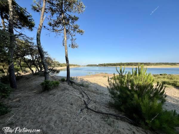 Photo Talmont-Saint-Hilaire : Ça fait du bien cette ombre, par cette forte chaleur 🥵😅 J’adore cet endroit de la plage du Veillon à Talmont-Saint-Hilaire 😍😎🥰c, Tita’s Pictures, Plage du Veillon, Talmont-Saint-Hilaire