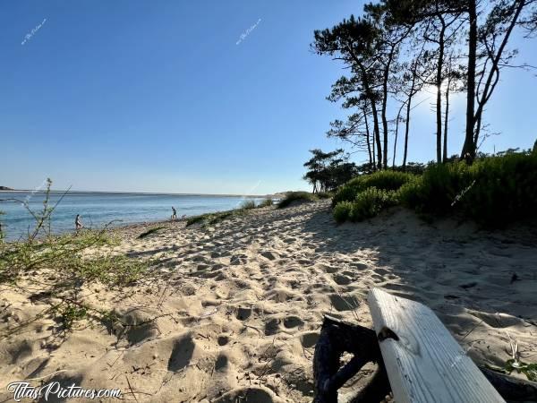 Photo Talmont-Saint-Hilaire : Des racines d’arbres, une planche de bois flotté, et voici un petit banc très agréable pour contempler ce beau paysage, à la plage du Veillon à Talmont-Saint-Hilaire 👍🏻😍😎c, Tita’s Pictures, Plage du Veillon, Talmont-Saint-Hilaire