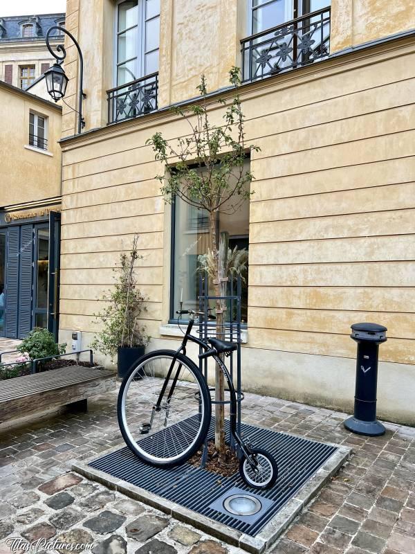 Photo Le Grand Bi : En me promenant dans les ruelles de Versailles, quelle grande surprise de tombée sur un Grand Bicycle, aussi appelé Grand Bi 🤭😅😍c, Tita’s Pictures, Vélo, Grand Bicycle, Grand Bi