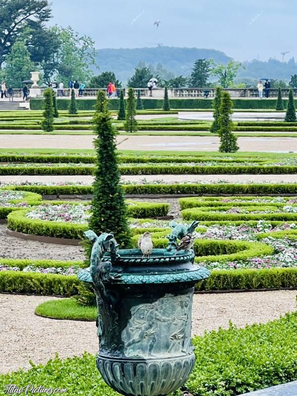 Photo Château de Versailles  : Petit passage rapide côté jardin du Château de Versailles, sous la pluie 🌧️ Les moineaux étaient heureux de pouvoir se toiletter dans ce pot de fleurs 😍🥰c, Tita’s Pictures, Château de Versailles, Jardin