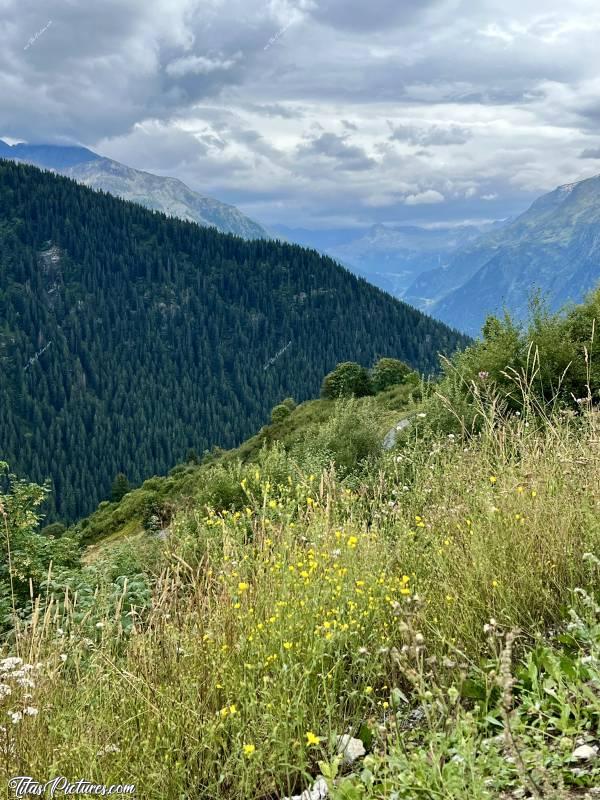 Photo Les Eucherts  : Petite balade aux Eucherts, près de la Rosière. Même par temps nuageux, les montagnes peuvent être belles 😍c, Tita’s Pictures, Les Eucherts, Montvalezan, les Alpes