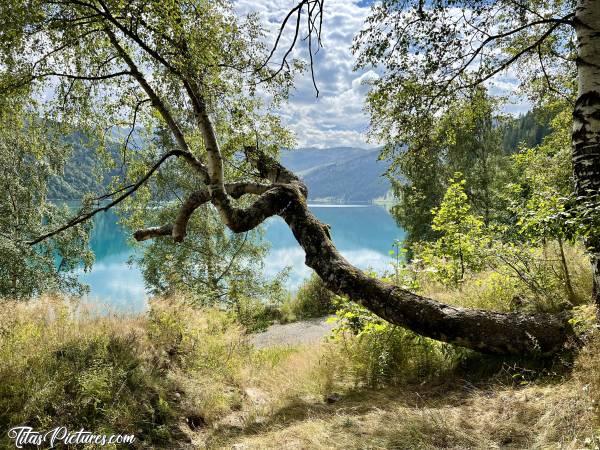 Photo Lac de Roselend : Trop bizarre la forme de cet arbre 🤭😅 Je l’ai découvert au bord du Lac de Roselend. Je l’ai déjà pris en photo l’année dernière, mais sur quelle photo ? 🤔😊 Et surtout, quelle photo préférez-vous des 2 ?c, Tita’s Pictures, Les Alpes, Lac de Roselend, Beaufortin, Savoie