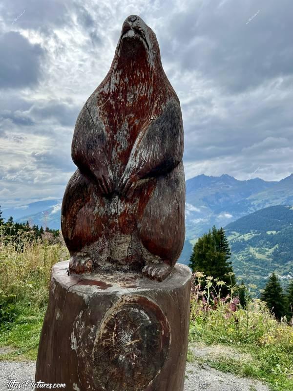 Photo Marmotte  : Une belle sculpture de marmotte en bois, sur la route du Col du petit Saint-Bernard, à la Rosière dans les Alpes. c, Tita’s Pictures, Les Alpes, La Rosière, Col du Petit St-Bernard, Marmotte