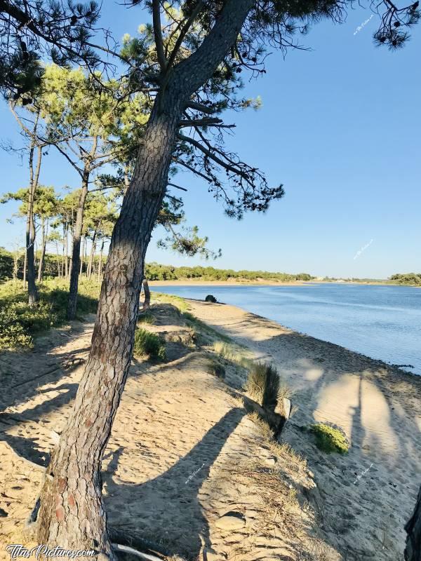 Photo Plage du Veillon : Beau souvenir de cet été et de ses grosses chaleurs, avec cette photo de mon endroit préféré à la plage du Veillon. c, Tita’s Pictures, Talmont-Saint-Hilaire, Plage du Veillon 