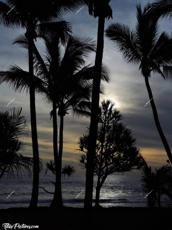 Photo Grande Anse : Quel beau souvenir de la Réunion, que ce beau Coucher de Soleil nuageux sur des palmiers 😍🥰 J’ai pris cette photo sur la Plage de Grande Anse, dans le Sud de l’île, en tout début de la manifestation des gilets jaunes de 2018. c, Tita’s Pictures, Grande Anse, Plage, Palmiers, Coucher de soleil 