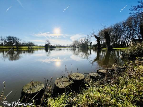 Photo Pescalis  : Un des nombreux étangs, que l’on peut voir à Pescalis dans les Deux-Sèvres. Chaque étang, cache des espèces différentes  de poissons. c, Tita’s Pictures, Pescalis, Etang