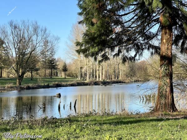 Photo Pescalis  : Vue sur un des nombreux étangs du parc de Pescalis à Moncoutant. C’est un endroit très agréable pour se ressourcer 😍🥰c, Tita’s Pictures, Pescalis, Étang 