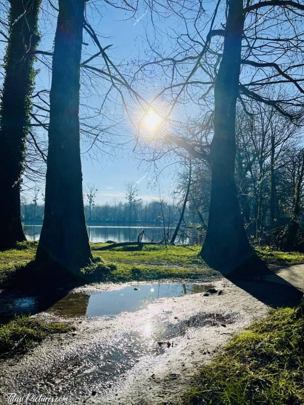 Photo Pescalis  : Jeu d’ombres et de lumières avec le soleil, les branches d’arbres et les flaques d’eau 🤭😍🥰c, Tita’s Pictures, Pescalis 