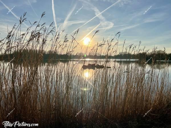 Photo Pescalis  : Beau coucher de soleil sur ces herbes hautes, à Pescalis dans les Deux-Sèvres 😍😎c, Tita’s Pictures, Pescalis, Coucher de soleil 