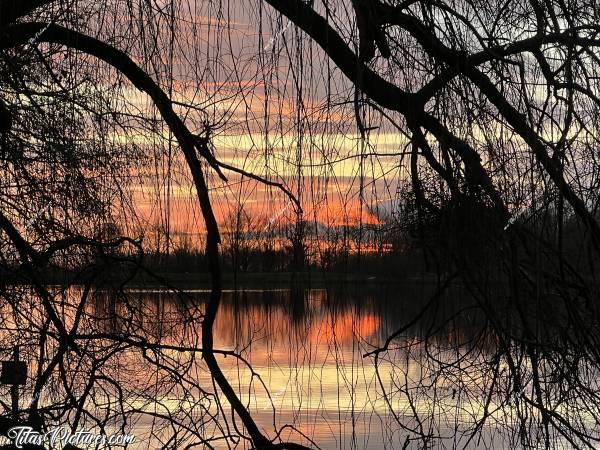 Photo Lac de l’Espérance : Autre point de vue de ce magnifique Coucher du soleil, sous un Saule Pleureur du Lac de l’Espérance à Pouzauges. c, Tita’s Pictures, Lac de l’Espérance, Pouzauges, Lac