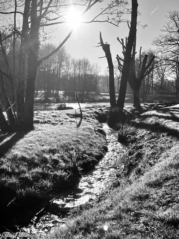 Photo La Bretêche : Noir et Blanc sur le ruisseau qui contourne le Lac de la Bretèche aux Épesses. Il était bien fourni en eau ce jour-là. C’était vraiment très agréable de l’entendre chanter 😍🥰c, Tita’s Pictures, le Lac de la Bretèche, Les Épesses