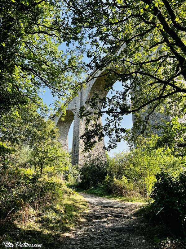 Photo Le Viaduc de Barbin  : Le Viaduc de Barbin à St-Laurent-sur-Sèvre en plein été. La végétation a bien poussé à ce point de vue. Sauriez-vous retrouver la photo prise au même endroit exactement, mais des années auparavant…? 🤭😉c, Tita’s Pictures, Le Viaduc de Barbin, la Sèvre Nantaise, le parc de la Barbinière, Saint-Laurent-sur-Sèvre