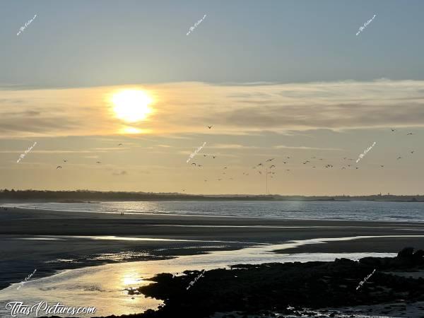 Photo La Baie du Kernic  : Vol de mouettes partant en grand nombre vers la mer, alors que la fin de journée arrive…c, Tita’s Pictures, La Baie du Kernic, Plage, Sable blanc, Coucher du Soleil 