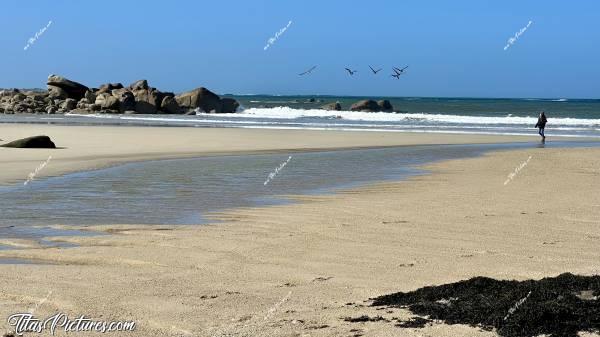 Photo Porsguen : Joli vol de Bernaches à Porsguen dans le Finistère nord 😍 Malheureusement, je n’ai pas réussi à dégainer mon objectif plus tôt 😅c, Tita’s Pictures, Porsguen, Plage, Oies sauvages, Bernaches