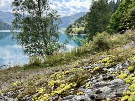 Lac de Roselend : Tita’s Pictures, Les Alpes, Lac de Roselend, Beaufortin, Savoie