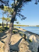 Plage du Veillon : Tita’s Pictures, Talmont-Saint-Hilaire, Plage du Veillon 